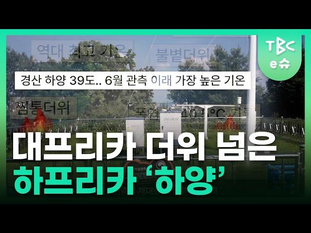 경북 경산 하양 '하프리카'라고 불리는 이유️ㅣTBC e슈