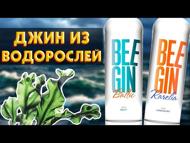 Джин на 100% Дистилляте СУЩЕСТВУЕТ - BEE GIN
