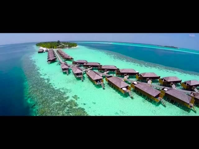 Coral Club Maldives 2018!