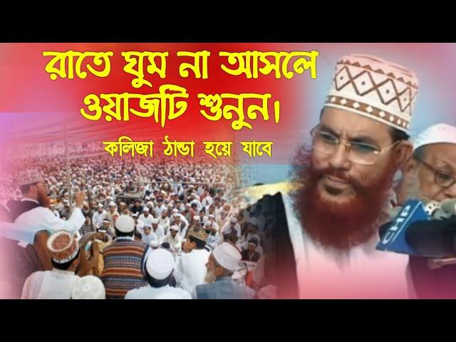 যে ওয়াজ শুনে কেঁদেছে লাখো মানুষ আল্লামা দেলোয়ার হোসাইন সাঈদী | হযরত মোহাম্মদ (সা) এর জীবনী | Waz |