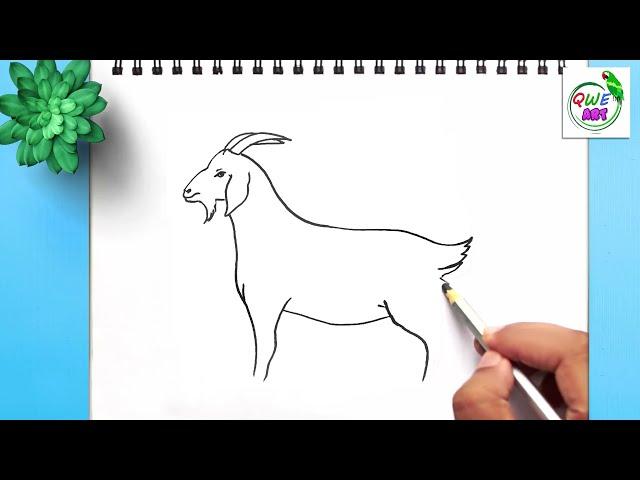 Easy Goat Drawing | How to Draw a Goat step by step Easy