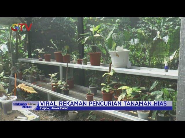 Lapak Tanaman Hias di Depok Dicuri, Pemilik Rugi Hingga Rp300 Juta #BuletiniNewsMalam 22/02