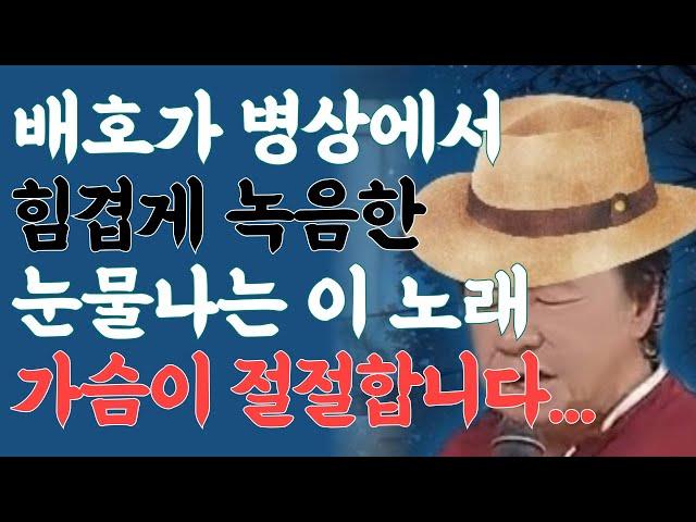 비겁한 맹세, 배호와 60년대를 추억하는 모든 분들을 위한 헌정곡 [라이브 커버] #비겁한맹세 #트로트 #미스터트롯