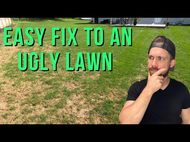 How To Fix Bare Areas In The Lawn