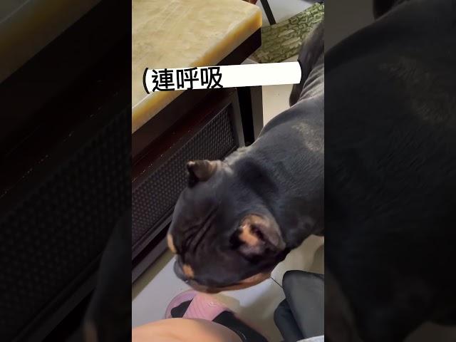 美國惡霸！長得真的很惡霸！驚！！