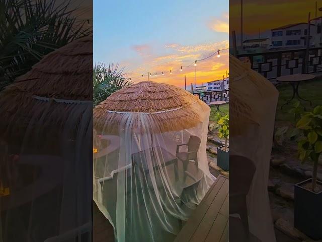 "벌레 걱정 끝! 파라솔 모기장으로 완성한 야외 테라스 카페" #모리커피사천실안점 #바다뷰 #파라솔 #모기장
