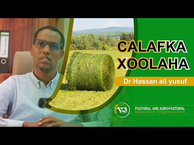 Calafka xoolaha( Fodder Production)