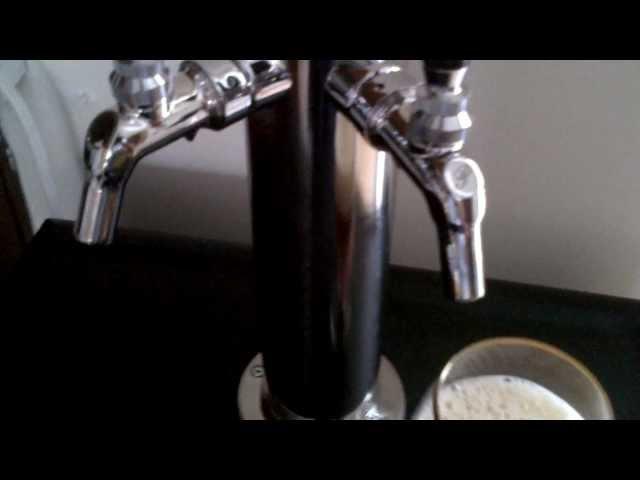 Danby Kegerator Build