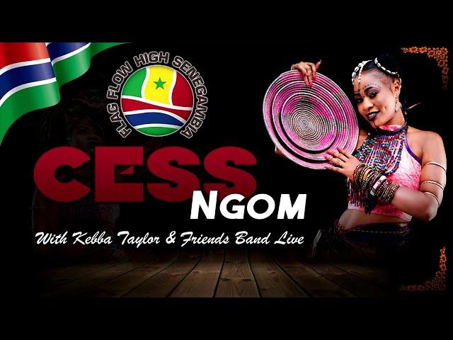 Cess Ngom - LIVE BAND PERFORMANCE with KEBBA TAYLOR and FRIENDS BAND.