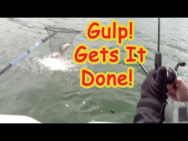 Your Guild To Trolling Gulp! Minnows For Trout, Kings & More