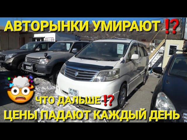 ЦЕНЫ ПАДАЮТ КАЖДЫЙ ДЕНЬ НА АВТО, РЫНКИ РУШАТСЯ,  АВТОРЫНОК ВЛАДИВОСТОК 2025