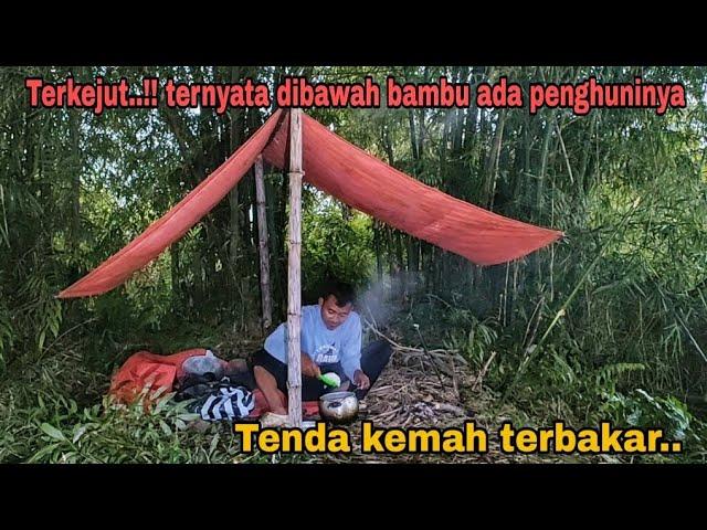 TERKEJUT..!! Ternyata dibawah bambu ada penghuni nya | tenda terbakar