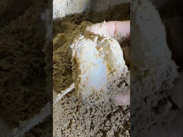 Finding Natural Amethyst Crystal In Mud #amethyst #crystals #find #gemstone