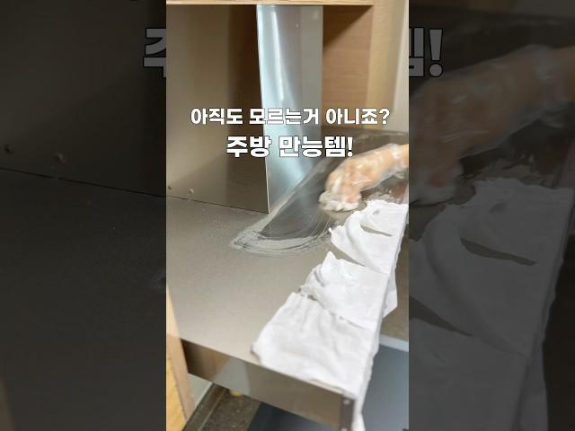모르면 후회하는 주방 만능템 | 만능세제 2종류 만들기
