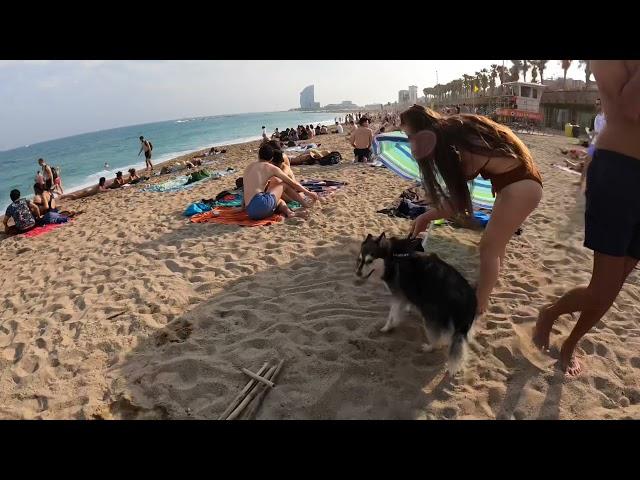 WALKING BEACH Barceloneta 4K#BARCELONA SPAIN September 2021…