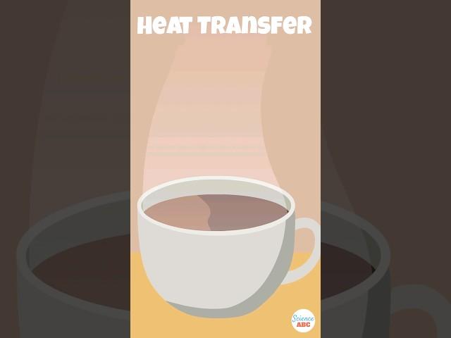 The Science of Heat Transfer: Conduction, Convection, and Radiation Explained