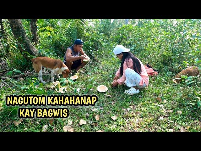 BAGWIS MATAGPOAN NA KAYA NI TATAY EMBOY