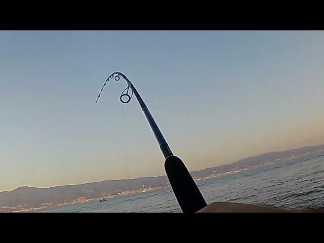 Tonnetti a shore jigging