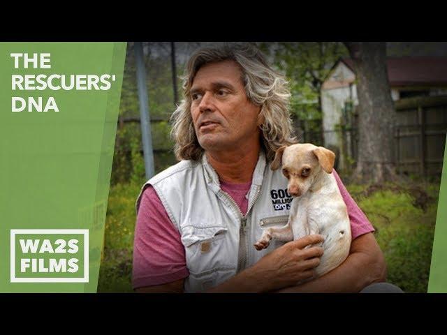 Caught On Camera!!! PETA Co-Founder Alex Pacheco Under Investigation - Hope For Dogs | My DoDo