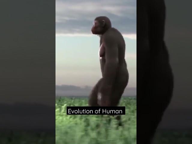 Sapiens - yuval Noah Harari Chapter 1 summary Human Evolution #sapiens #yuvalnoahharari #evolution