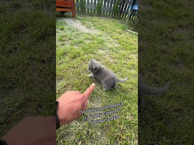 Сімʼя виникло питання