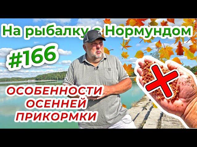 ОСЕННЯЯ ПРИКОРМКА - КАК НЕ ИСПОРТИТЬ СЕБЕ РЫБОЛОВНЫЙ ДЕНЬ / На рыбалку с Нормундом #166