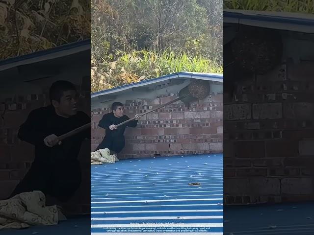 Use A Spade To Remove A Big Wasp Nest !