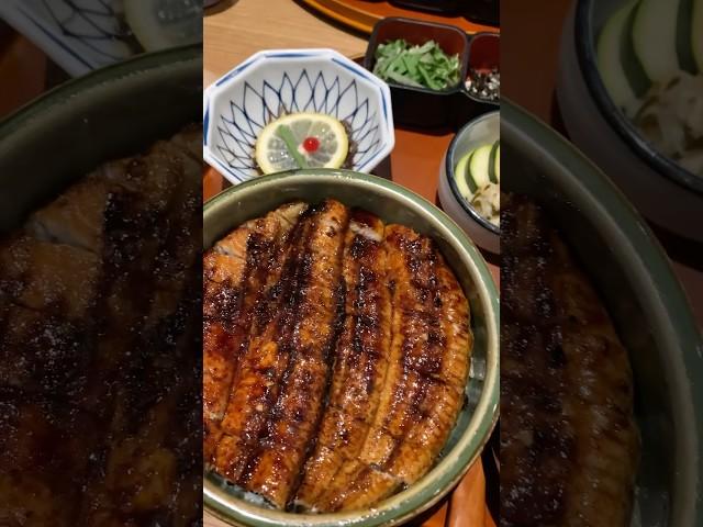 #jamsil #잠실맛집 #seoulfood #롯데몰맛집 #해목 #장어맛집 #장어덮밥 #히츠마부시 #k_food #맛집
