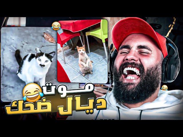 الفيديو لي مزال ماشافوش بعض ناس 