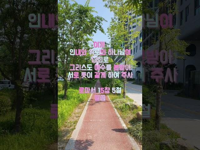 로마서 15장5절 말씀 #귀한말씀 #은혜로운채널 #좋은글 #성경구절 #축복된삶 #멋진글귀 #지혜 #성경구절암송