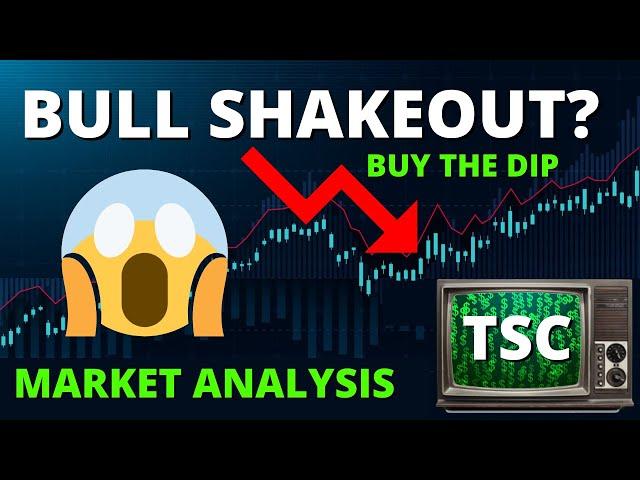 BULL SHAKEOUT? Stock Market Technical Analysis | S&P 500 TA | SPY TA | QQQ TA | DIA TA | SP500 TODAY