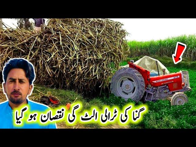 Daily life || Pakistan village life vlog || Desi village life Pakistani