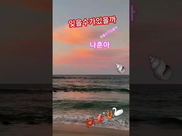 #나훈아 #잊을수있을까