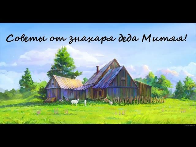 Советы от знахаря-травника  деда Митяя!#советы травника#