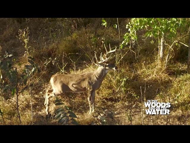 Kentucky River Wildlife Management Area