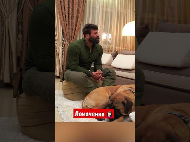ЗАГАДКА УКРАЇНСЬКОГО БОКСУ #зірковий #ломаченко #салем #анатоліч