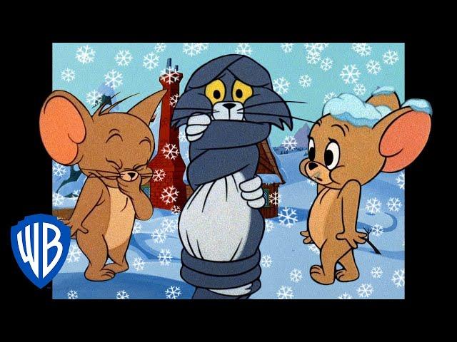 Tom und Jerry auf Deutsch  | Willkommen im Winterwunderland! ️ | WB Kids