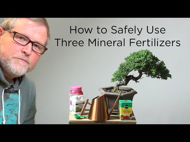 Bonsaify | How to Safely Use Mineral Fertilizers with Bonsai Trees