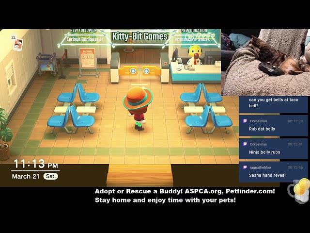 KittyBit Games! Live Stream