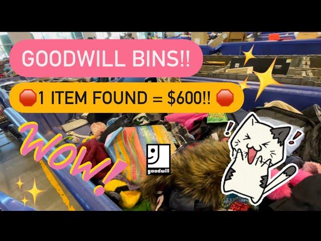 Come Thrift With Me At Goodwill Bins! I Found A Bag Worth $600! + Complete Digging HAUL!