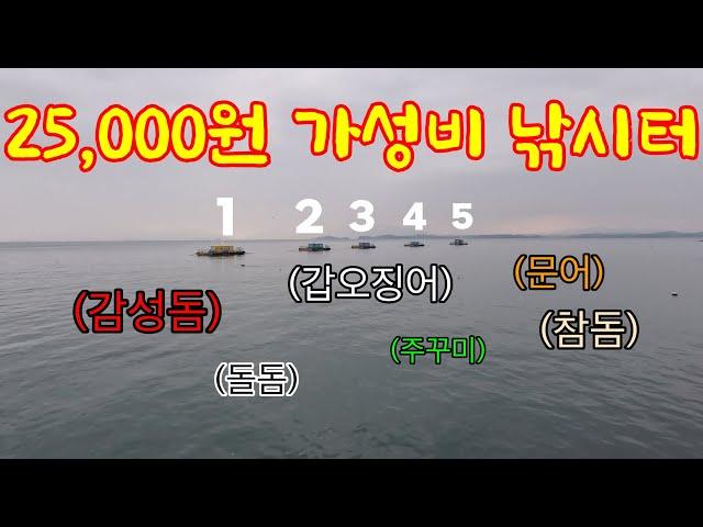 1박2일 25,000원?! 안 잡히는 게 없는 가성비 낚시터! 잡자마자 바로 먹을 수 있는 자연산 술안주가 버글버글 하다~