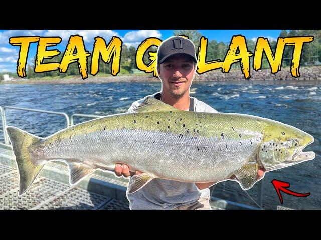 DREAM FISHING: Salmon in Bergeforsen with Screaming Reels | Team Galant