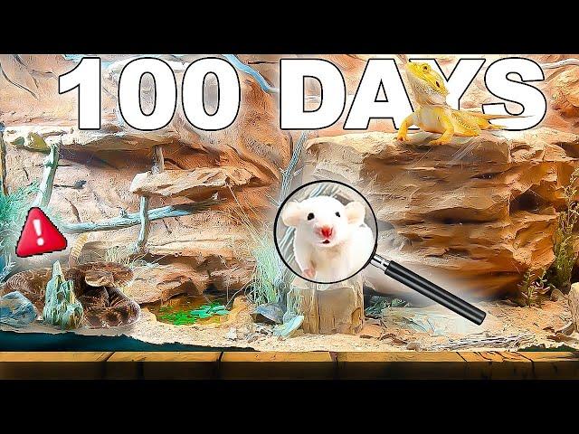 Simulating A Desert ecosystem for 100 Days ( Grand Canyon  )