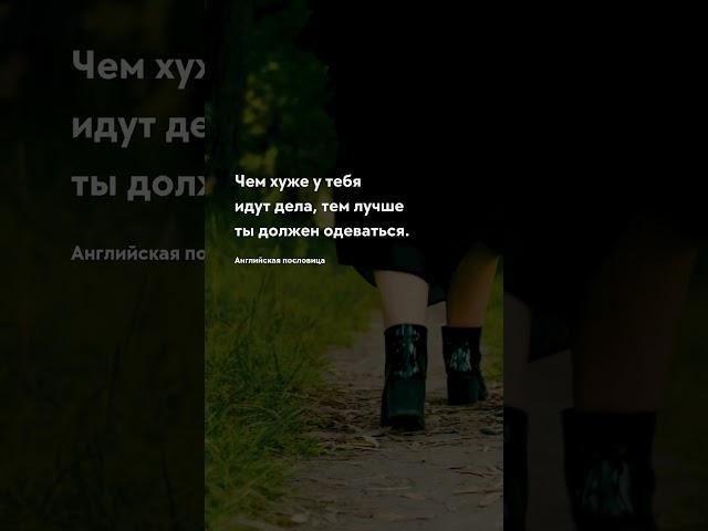 Должен одеваться Про жизнь цитаты #цитаты #цитата #прожизнь #мудрость #цитатадня #интеллект #тост