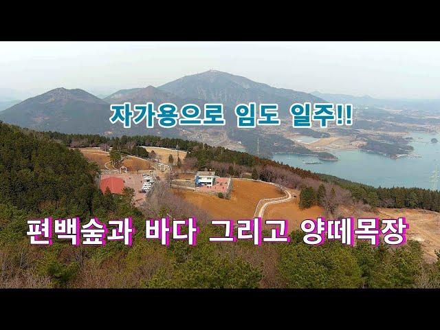 임도를 자가용으로 일주하면서 편백숲과 양떼목장에서 힐링할수 있는곳//남해바다!!