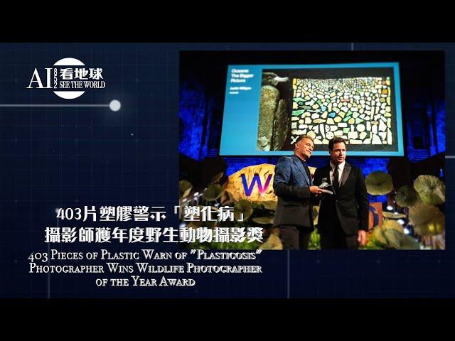 【403Pieces of Plastic Warn "Plasticosis"! Photographer Wins Wildlife Photographer of the Year Award】