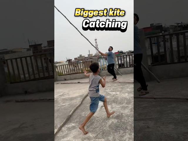 Kite catching #kiteflying #basant #kitecatching #youtubeshorts #shorts #viralshorts #viralvideo