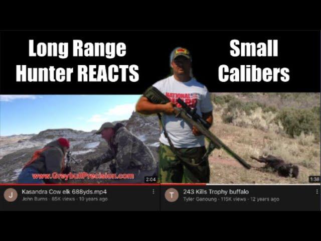 Long range hunter REACTS to Hunting big game with small calibers/cartridges.