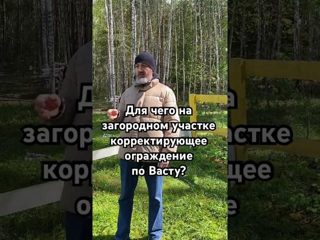 Специальное ограждение на участке по #васту? #vastu #домповасту #вастукоррекции