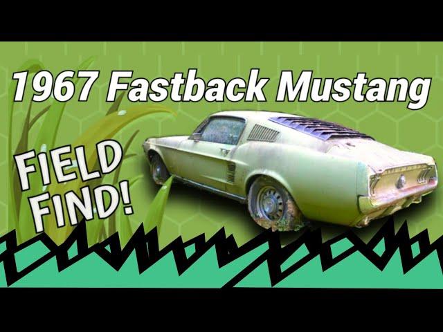 1967 MUSTANG FASTBACK | FIELD FIND | Episode 2 | SHORT HAULS | graysvws